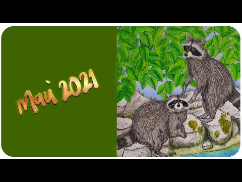 Видео: Раскрашено в мае 2021 /Что я раскрасила за май