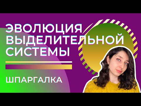 Видео: Выделительная система животных— шпаргалка. ЦТ, ЕГЭ, ЗНО