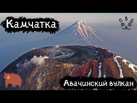 Видео: Камчатка | Авачинский вулкан