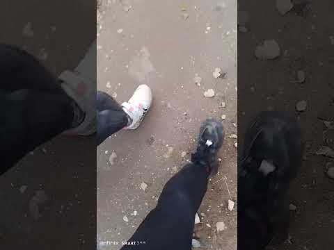 Видео: 1 часть идём в магазин