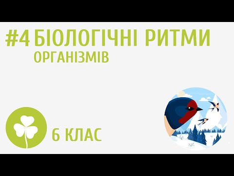 Видео: Біологічні ритми організмів #4