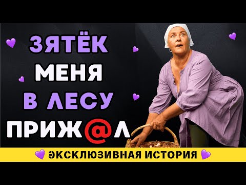 Видео: Дом пустой, а зять уже на печи – грибной сезон закрыли вовремя!