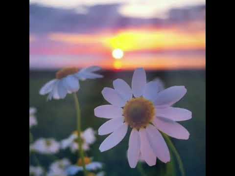 Видео: "Энергия тулдириш ва кайта уйгониш" медицаяси