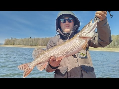 Видео: ВЕСЕННЯЯ РЫБАЛКА НА ЩУКУ НА КРАСНОЯРСКОМ ВОДОХРАНИЛИЩЕ. ЧАСТЬ 1.