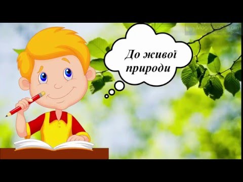 Видео: Урок 23  Природознавство 1 клас.  Якими бувають рослини?