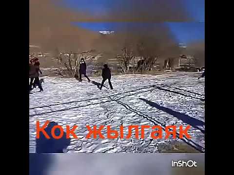 Видео: Кок жылгаяк
