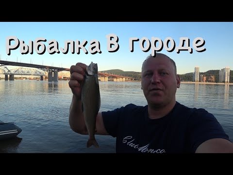 Видео: Рыбалка в Красноярске