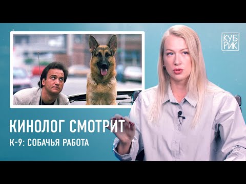 Видео: Кинолог смотрит фильмы про собак — «Комиссар Рекс», «К9», «Тёрнер и Хуч», «Бетховен», «Белый Бог»