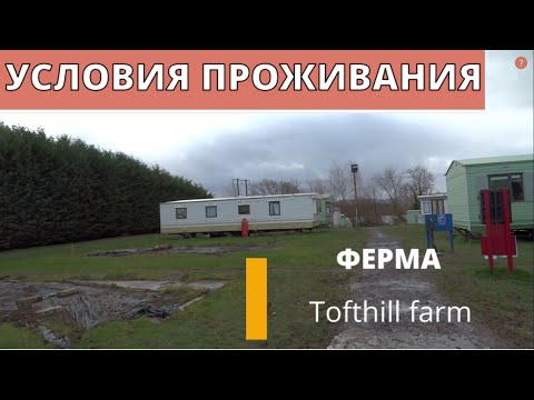 Видео: Условия проживания на ферме Tofthill, Шотландия.
