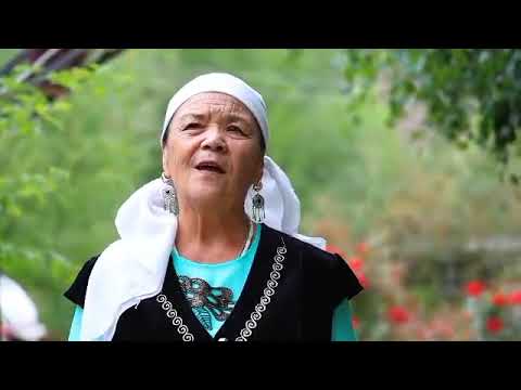 Видео: 14 сентября 2025 г.