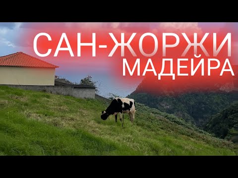 Видео: 4 день на Мадейре рассвет, переезд в деревню сан-жоржи. Влог, мукбанг, путешествие