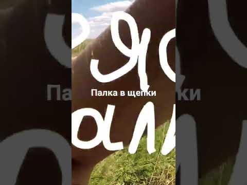 Видео: 25 октября 2025 г.