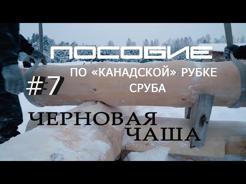 Видео: Как  построить дом из сруба #7.Выбор бревна.Разметка черновой чаши.Венец 2.