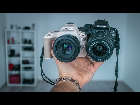 Видео: Чем CANON 100D круче 200D (и даже 250D)?