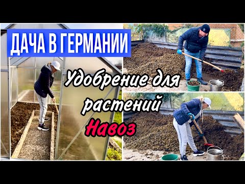 Видео: Чем Удобрить Почву Чтоб был Хороший Урожай / Едем за Навозом