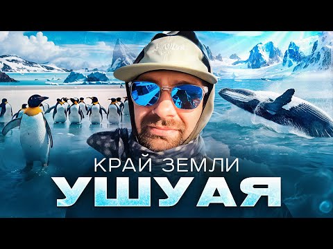 Видео: Ушуая - край света. Пингвины и Киты. А что дальше то?