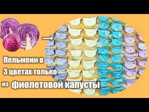 Видео: Обалдеть! КАК Сделать Цветные Пельмени ТОЛЬКО из ФИОЛЕТОВОЙ КАПУСТЫ?