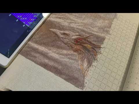 Видео: Многоцветная вышивка "Белочка" и "Дракон" - продвижения 