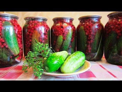 Видео: Самые ВКУСНЫЕ ОГУРЦЫ с Красной СМОРОДИНОЙ на ЗИМУ - Простой и Полезный РЕЦЕПТ