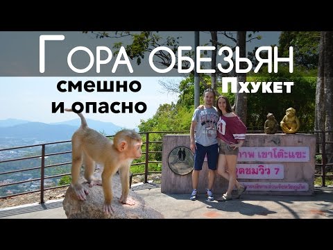 Видео: Гора обезьян, Пхукет, Таиланд 🐒 милахи и нападение