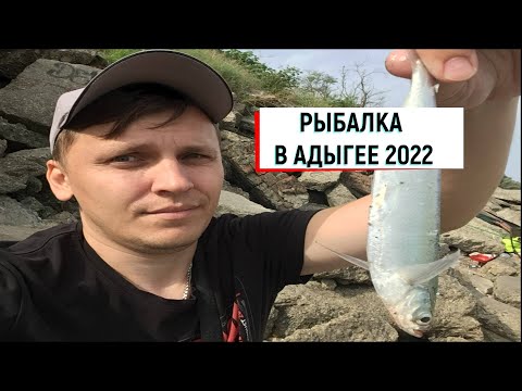 Видео: Рыбалка на Чехонь на реке Кубань клюет каждый заброс