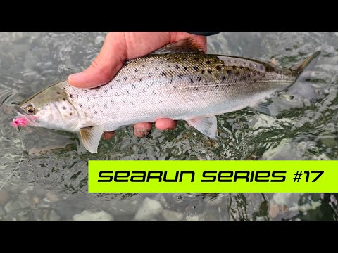 Видео: Серия SEARUN — Эпизод 17 — Тайна прилива