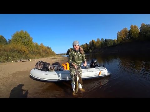 Видео: КРАСОТКА УВЕЗЛА МЕНЯ В ТАЙГУ НА РЫБАЛКУ! ! ЕДА НА ФИНСКОЙ СВЕЧЕ \ ПОКЛЁВКИ НАЛИМА, ВОЛКИ У ПАЛАТКИ !