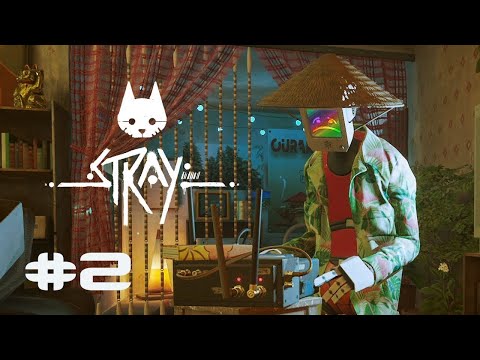 Видео: Поручения от Момо Stray #2