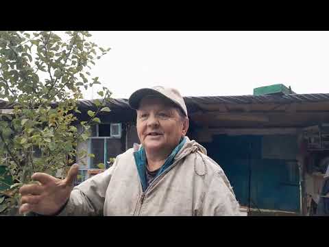 Видео: Все  сезон позаду попеиеду зима.....