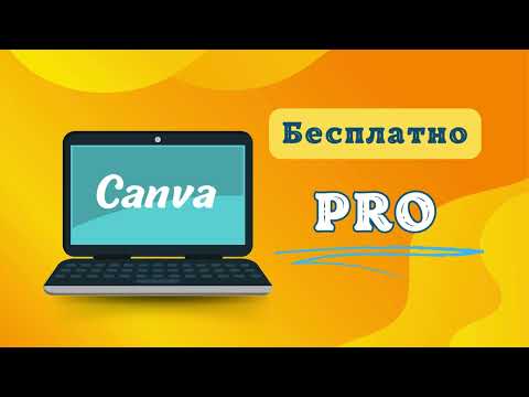 Видео: Как легко сделать сторис в Canva новичку?