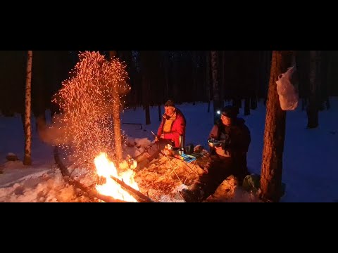 Видео: Зимняя ночевка в лесу ,в летней палатке
