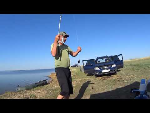 Видео: Зачётный судак на оз,сасыкколь,присутствует не нормативная лексика,деток желательно убрать.