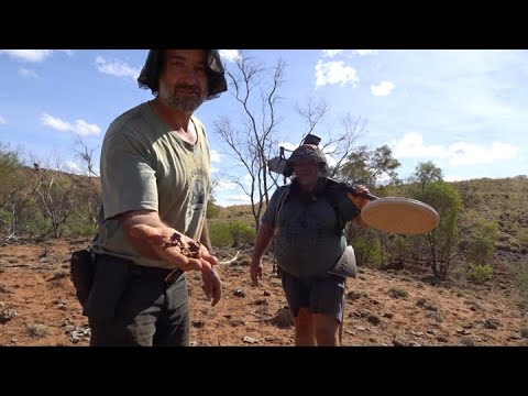 Видео: Еще полкило от Пилбары