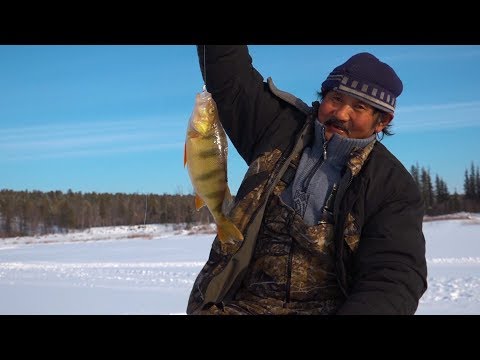 Видео: Эйим. Подледная рыбалка на Синей