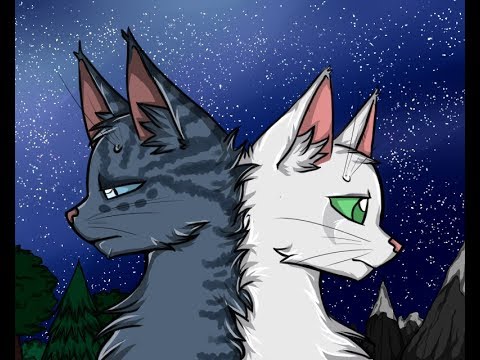 Видео: Коты Воители   Клип Герой (RUS)