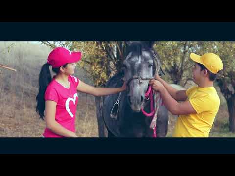 Видео: Жаны арык Love story