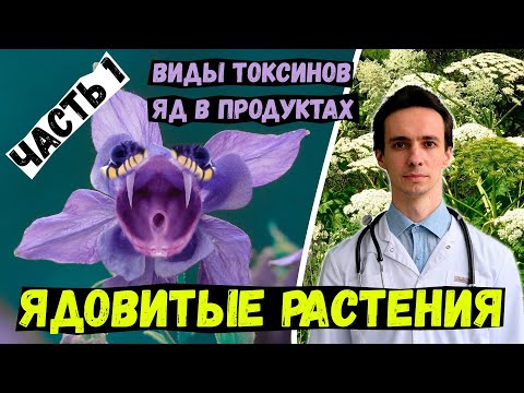 Видео: ЯДОВИТЫЕ РАСТЕНИЯ: Токсины бывают разные.... 1 часть