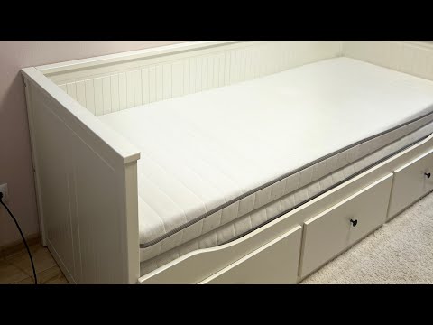 Видео: 5 ноября 2025 г.