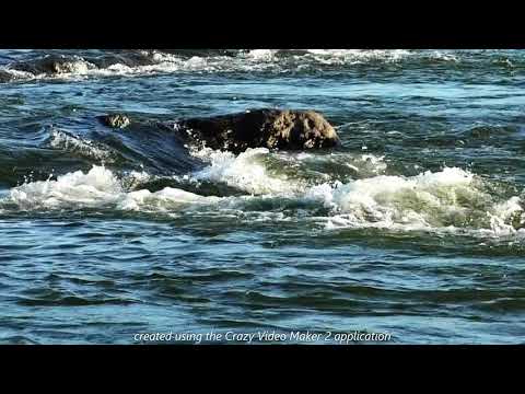 Видео: КВАТРО  "Романс с любовью" и "Senza te..."