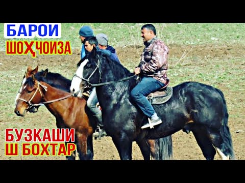 Видео: БУЗКАШИ КАЛОН ДАР Ш БОХТАР/Барои Шоҳҷоиза Мошин ва10 000с УЛОК 26 04 2020 ХУЛБУК ТВ