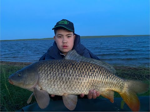 Видео: /МОЩНЕЙШИЙ УРАГАН настиг на карповой рыбалке/Carp Fishing/Карповая рыбалка в Казахстане/