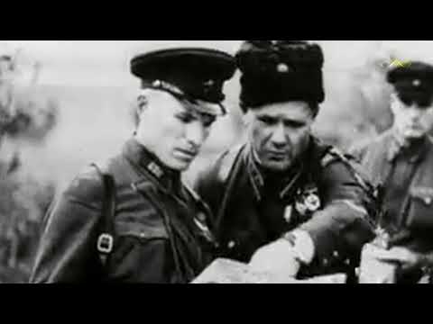 Видео: Нас не трогай!