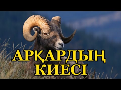 Видео: АРҚАРДЫҢ КИЕСІ. Кие атады деген не?