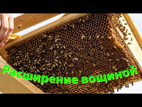 Видео: Профессор Кашковский о расширении вощиной