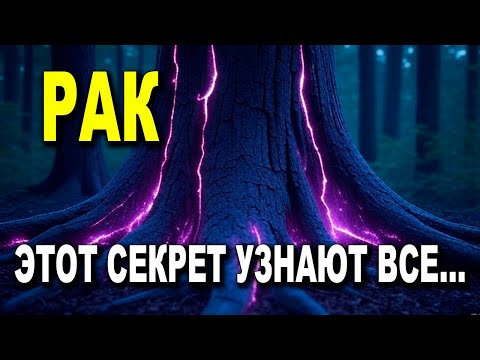 Видео: РАК ♋ БОЛЬШОЕ ПРОИСШЕСТВИЕ УЖЕ ЗАВТРА! 🌟 СЕКРЕТЫ СЕМЬИ РАСКРОЮТСЯ! 💥😯