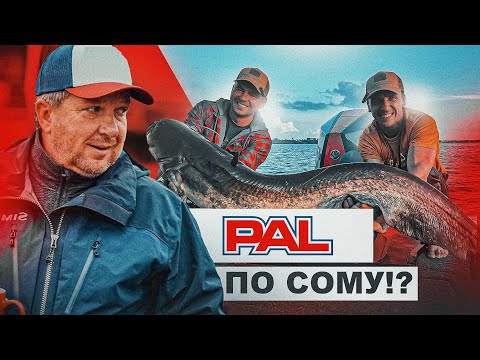 Видео: PAL про СОМУ! Наконец-то этот день настал!