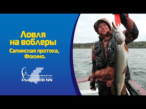 Видео: Ловля на воблеры. Сапинская протока, Фокино.