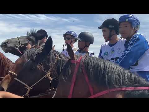 Видео: Наадым 2024 конные скачки аскырлар