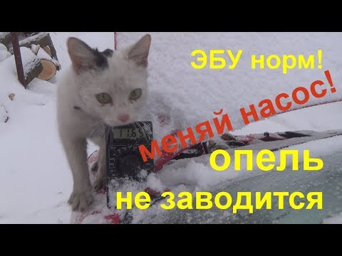 Видео: опель не заводтся, не шумит насос