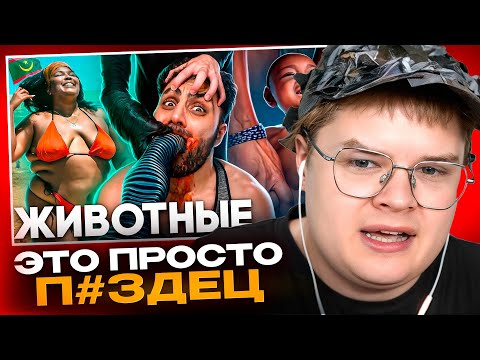 Видео: КАША СМОТРИТ - Мавритания - Королевство Рабов😱